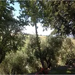 Farm stay All'ombra Degli Ulivi *