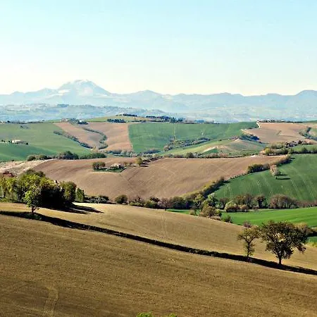 Agroturismo All'ombra Degli Ulivi San Marcello (Ancona)