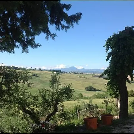 All'ombra Degli Ulivi