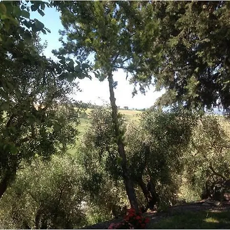 Farm stay All'ombra Degli Ulivi *