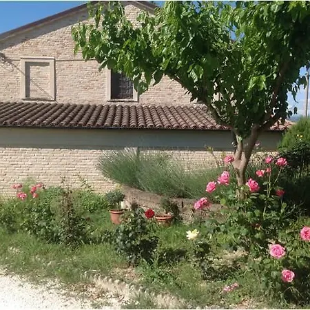 Farm stay All'ombra Degli Ulivi