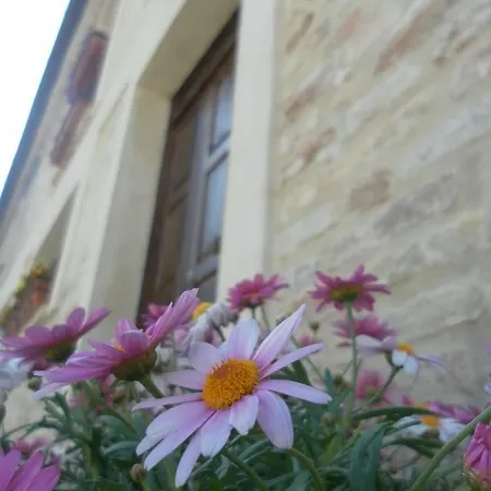 Farm stay All'ombra Degli Ulivi *