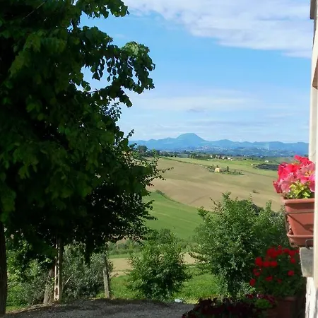 Farm stay All'ombra Degli Ulivi