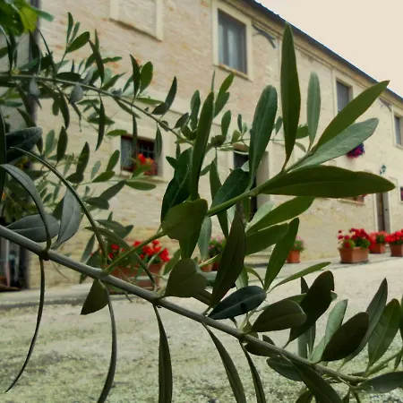 All'ombra Degli Ulivi San Marcello (Ancona)