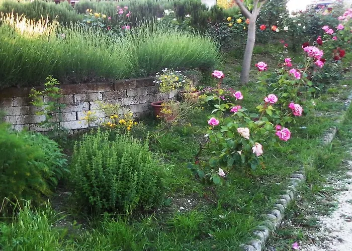 All'ombra Degli Ulivi San Marcello (Ancona)